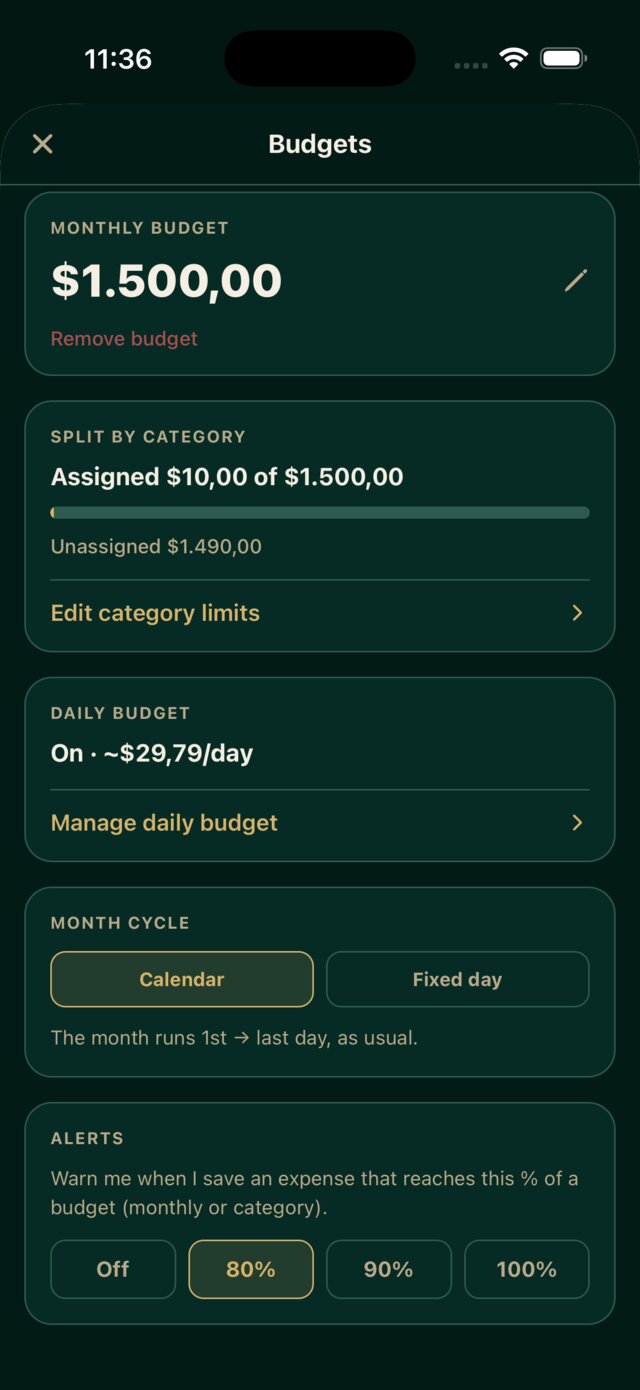Budgets screen with monthly budget, category split, daily budget and alerts